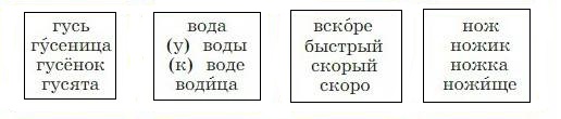 русский язык 3 класс учебник Канакина 1 часть страница 62, упражнение 113