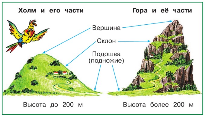 Окружающий мир 2 класс учебник Плешаков 2 часть страница 79, номер 1. Год 2023.