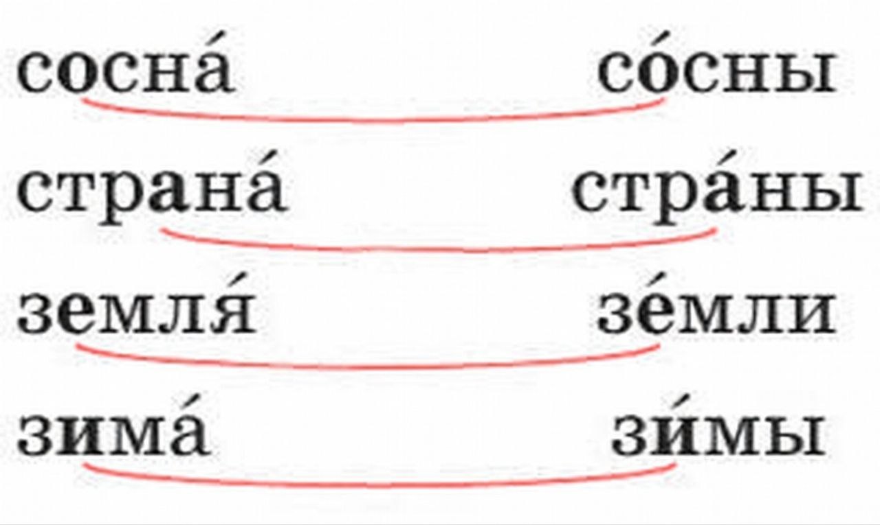 Русский язык 1 класс Канакина, Горецкий страница 65, номер 15