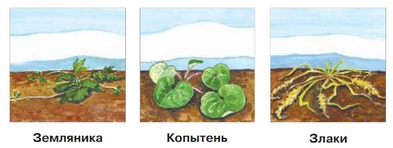 Окружающий мир 2 класс Плешаков 1 часть страница 128