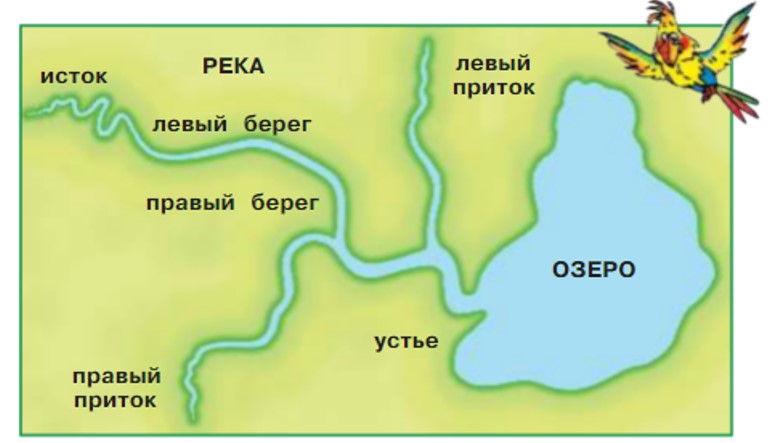 Окружающий мир 2 класс Плешаков 2 часть страница 83.